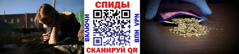 Купить  Льгов  БУТИРАТ буратино 