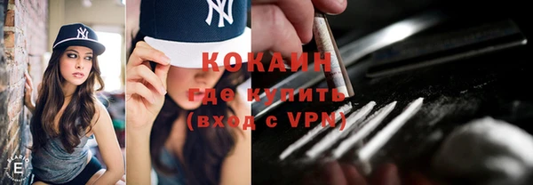 МДПВ Ельня
