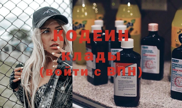 МДПВ Ельня