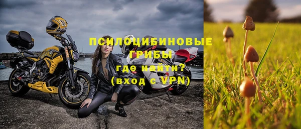 PSILOCYBIN Заволжск