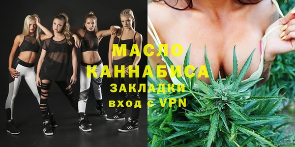 МДПВ Ельня