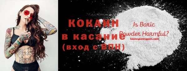 МДПВ Ельня