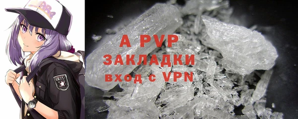 МДПВ Ельня