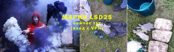 МДПВ Ельня