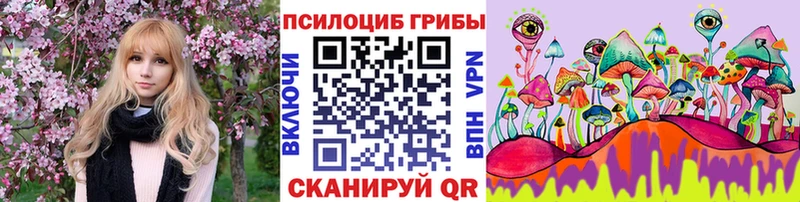 Купить закладки  Льгов  Псилоцибиновые грибы мицелий 